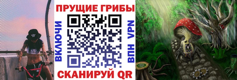Псилоцибиновые грибы Psilocybe  Реутов 
